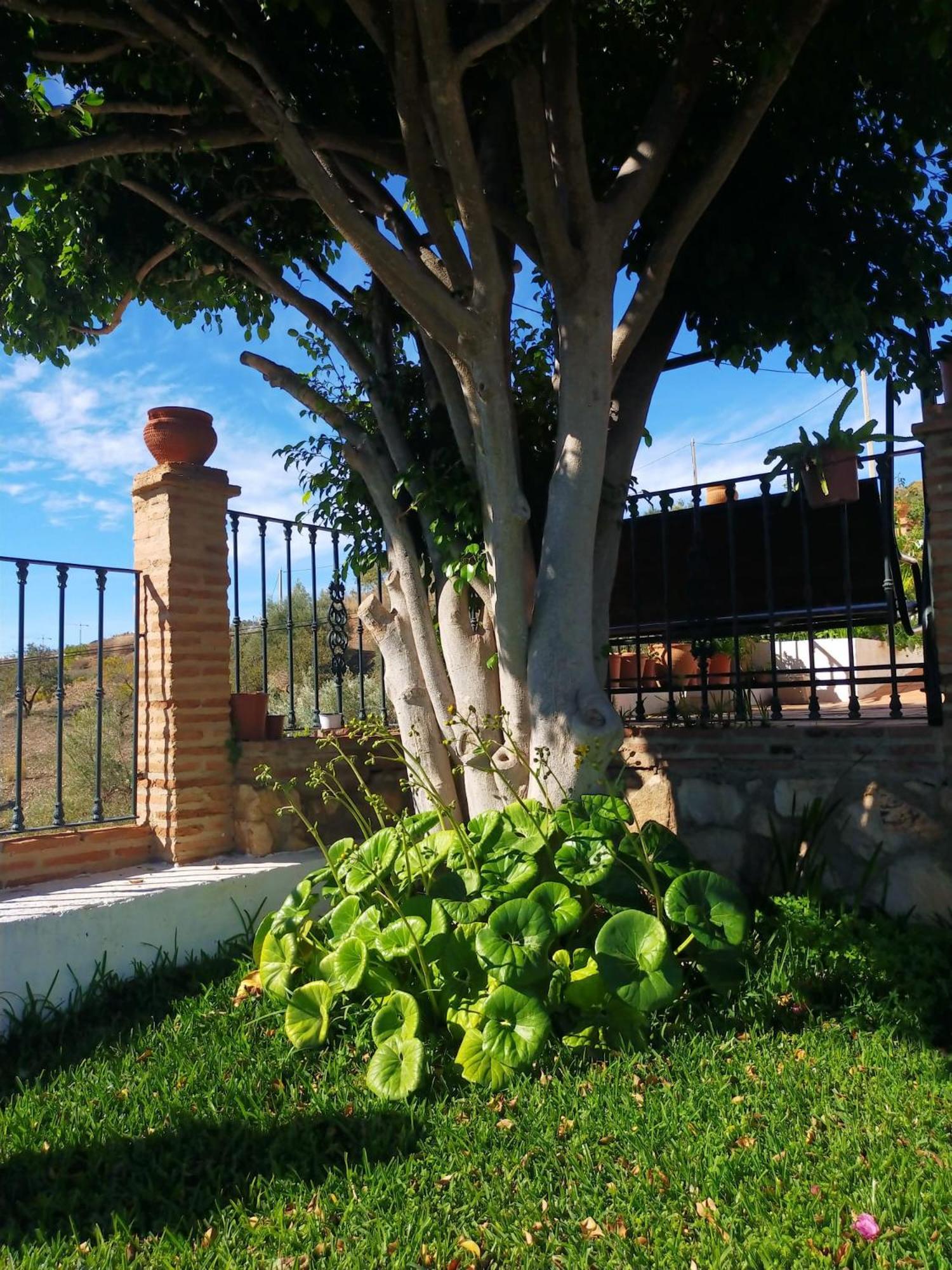 Paraje El Pozo Malaga Exterior photo